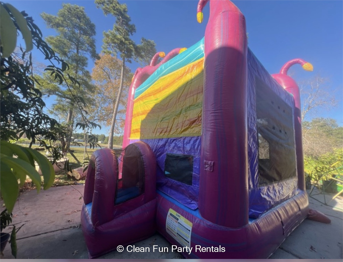 Seasonal Bounce House Themes to Wow Your Guests